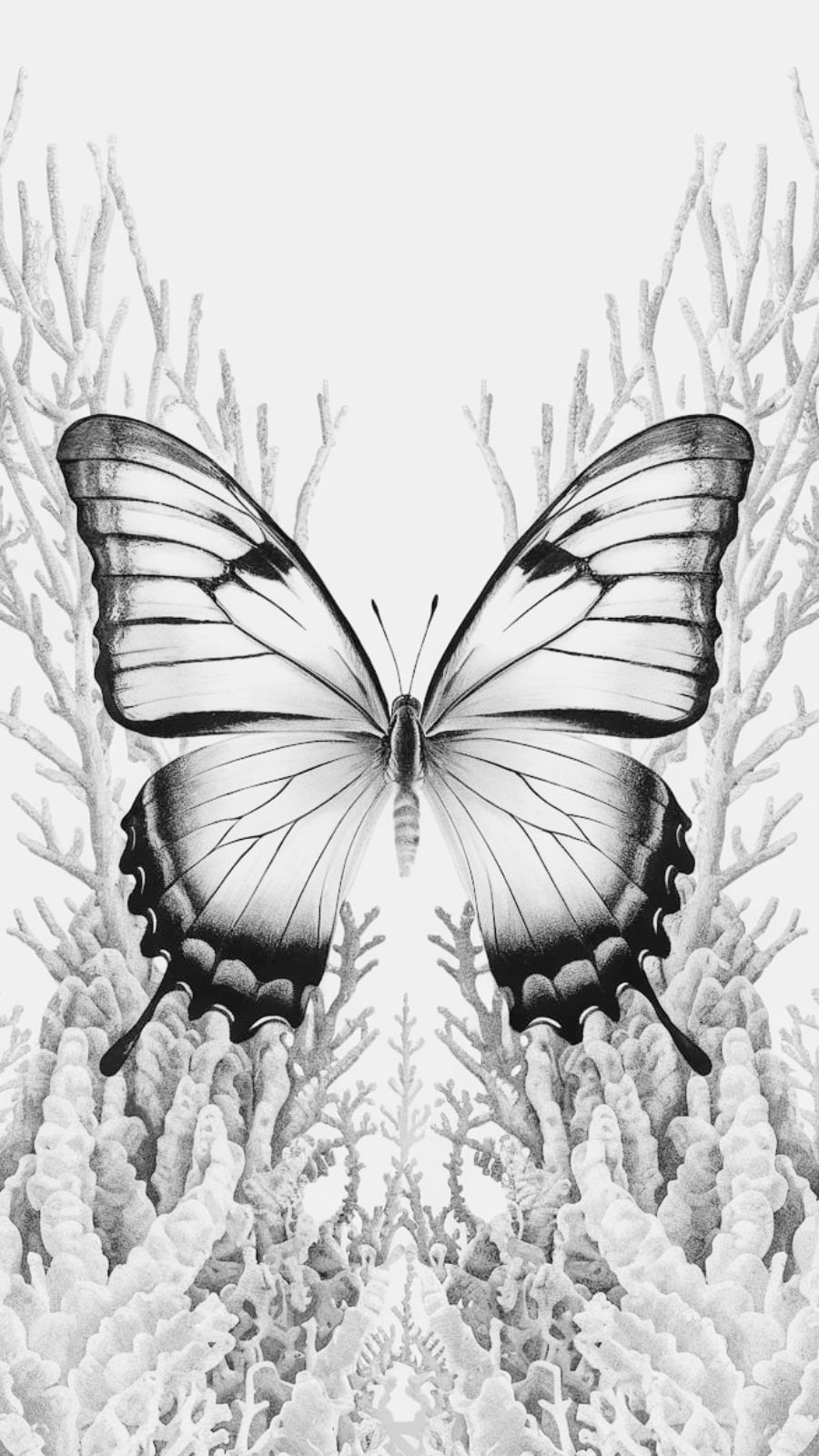 butterfly and seaweed
