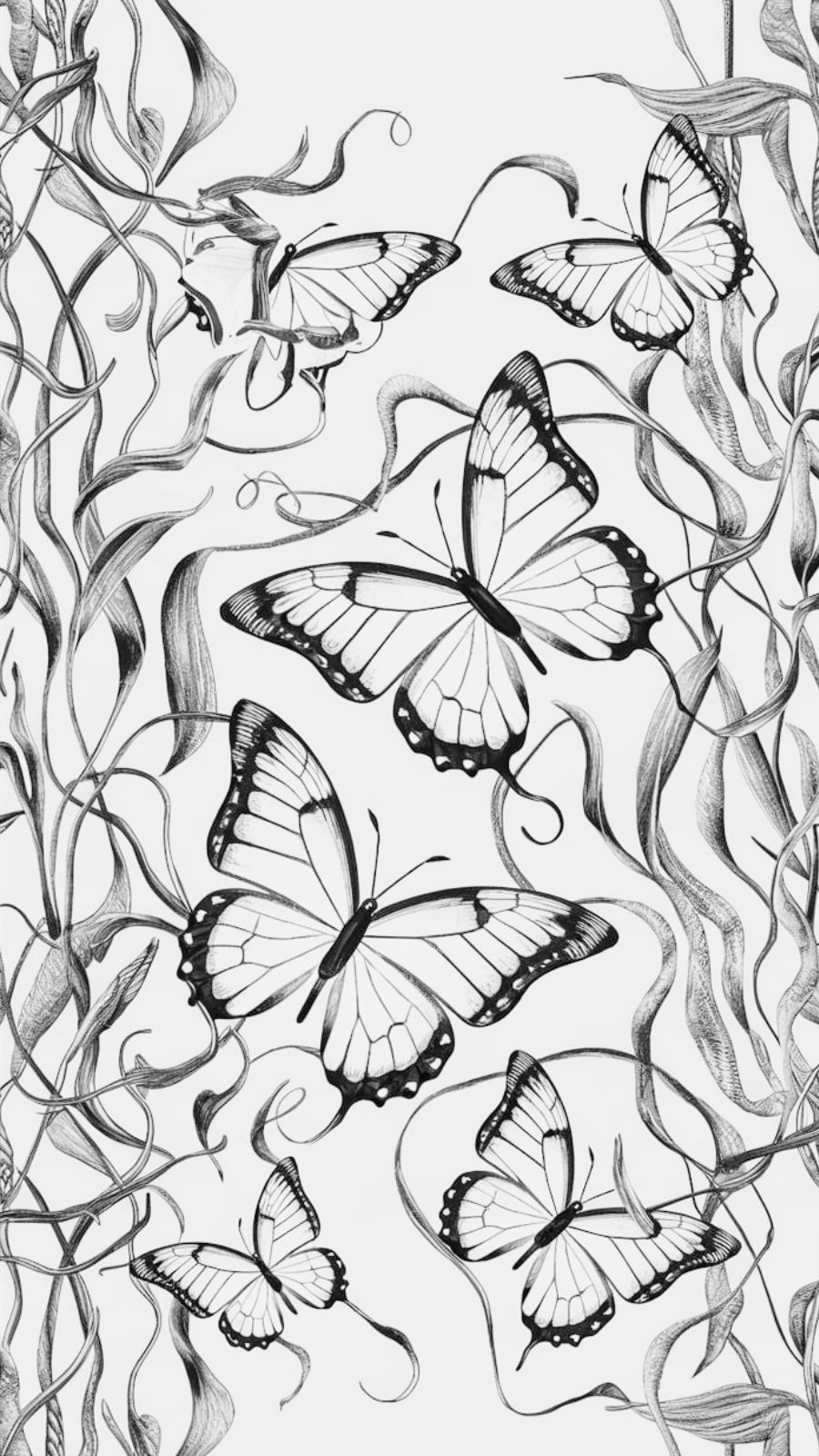 butterfly and seaweed