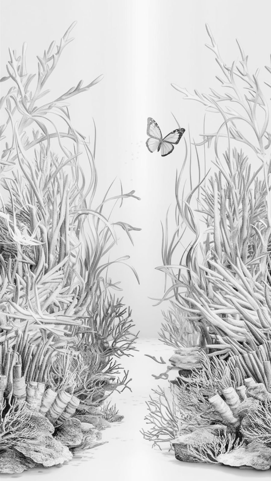 butterfly and seaweed