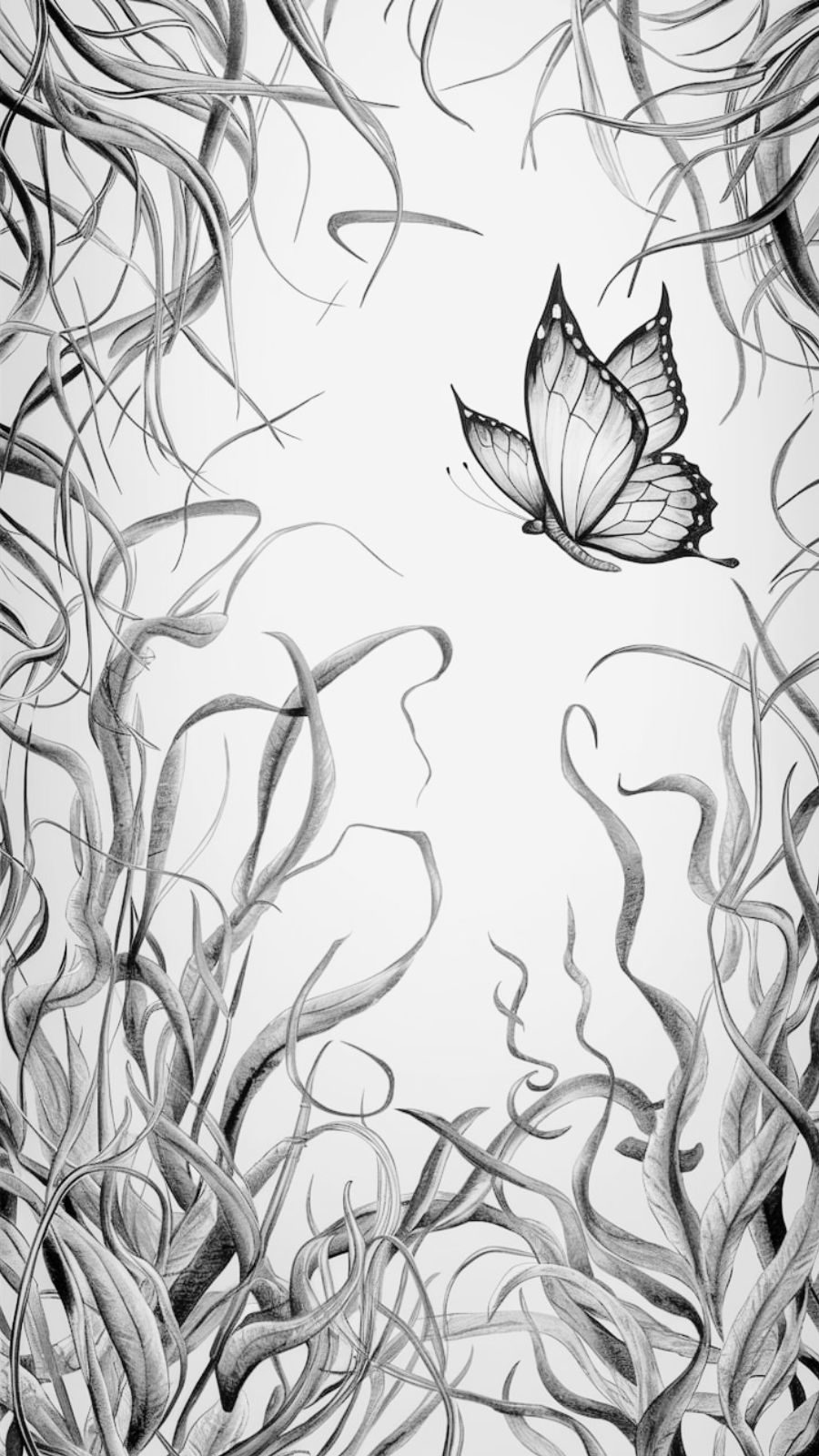 butterfly and seaweed