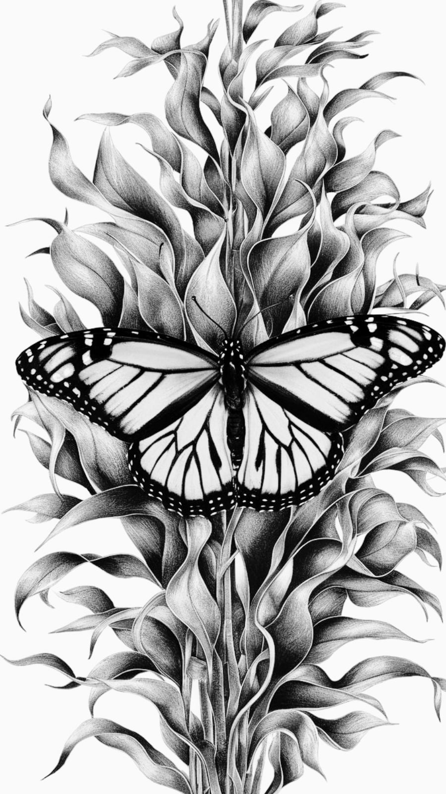 butterfly and seaweed