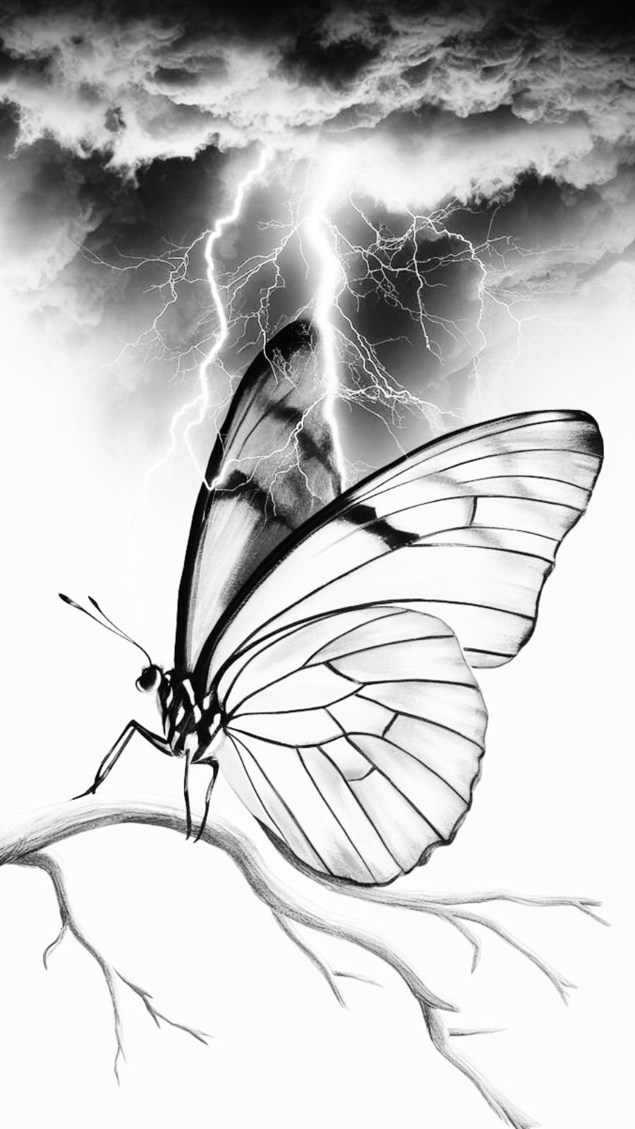 butterfly and thunderstorm