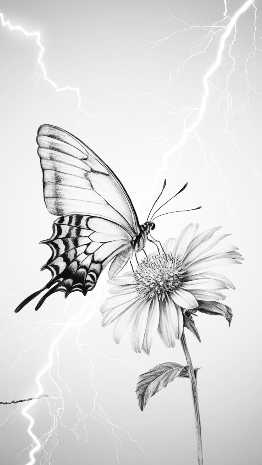 butterfly and thunderstorm