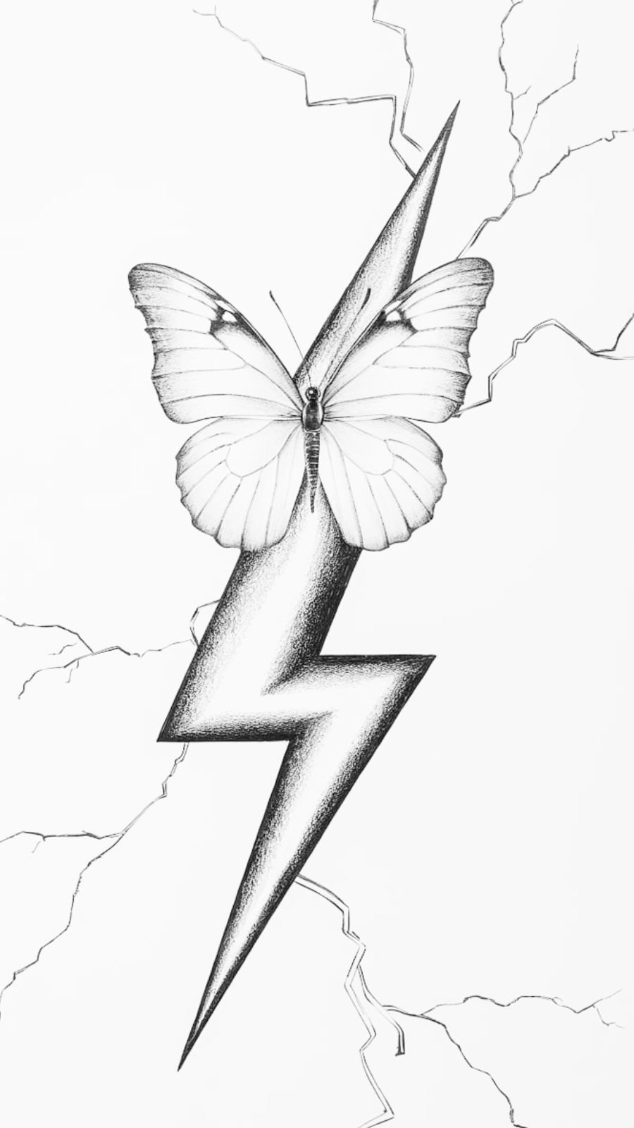 butterfly and thunderstorm 