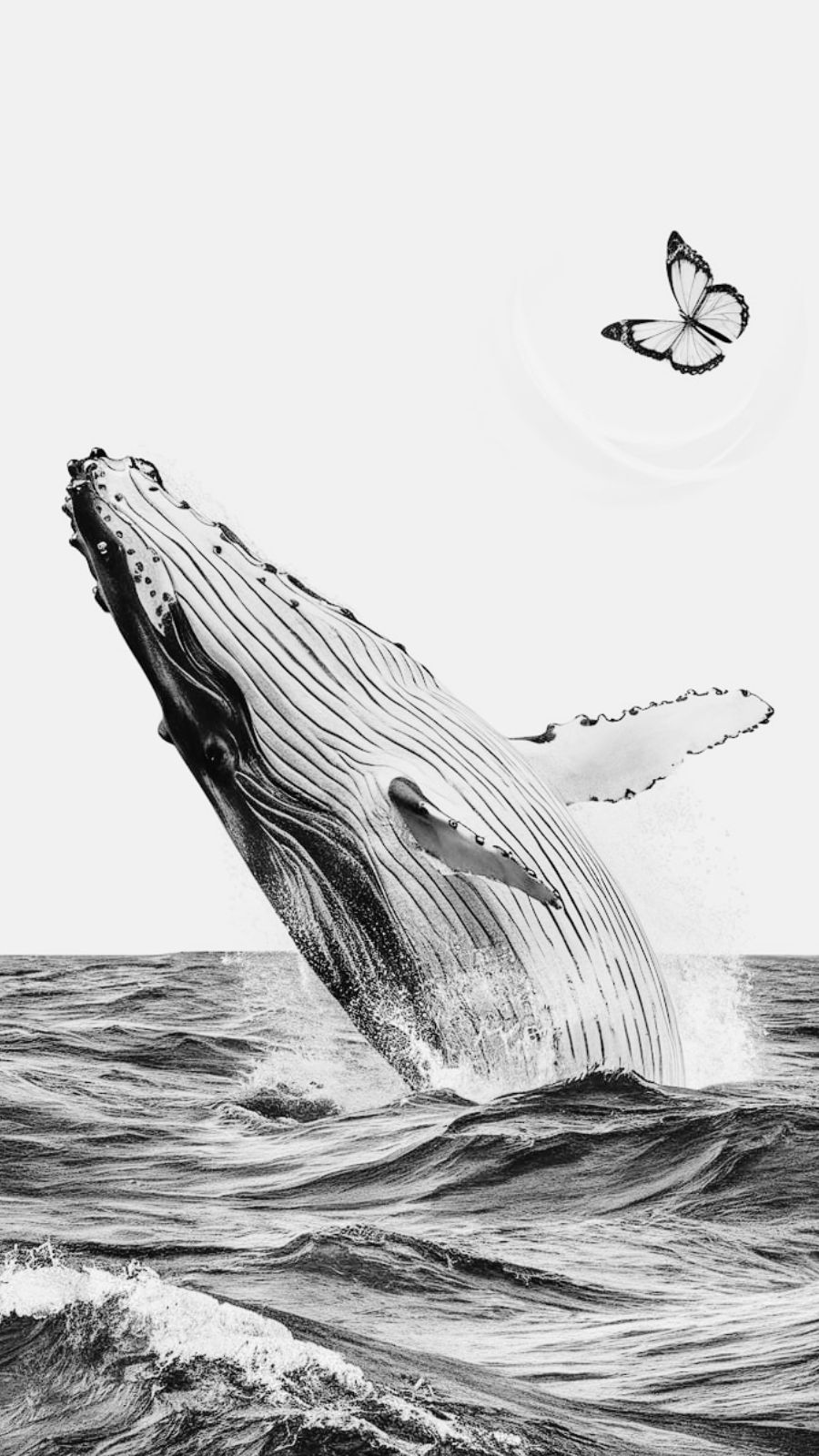 butterfly and whale