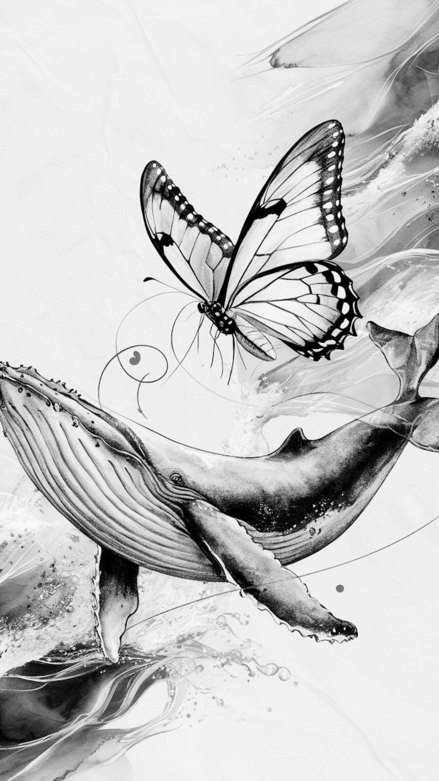 butterfly and whale