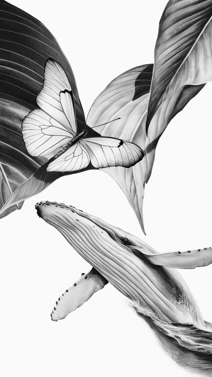 butterfly and whale