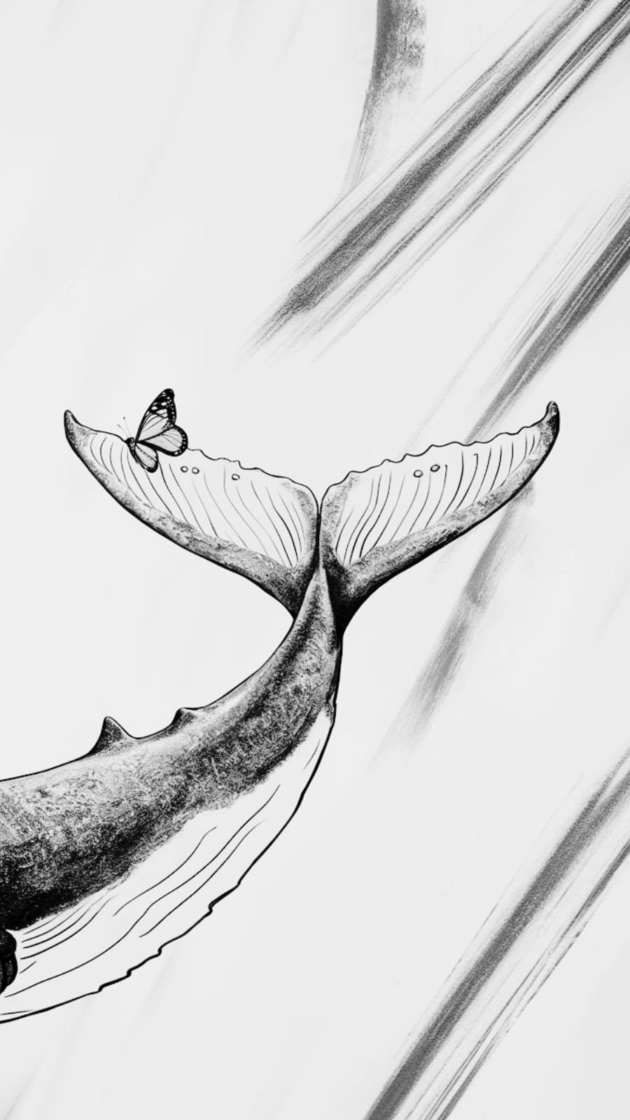 butterfly and whale