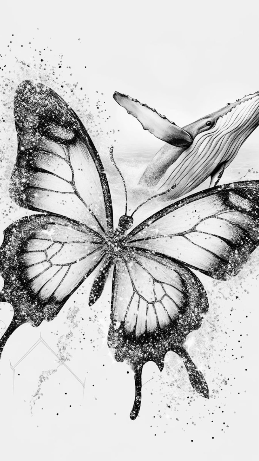 butterfly and whale