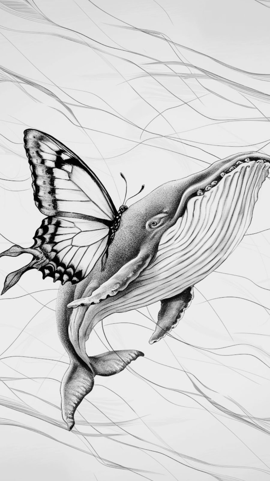 butterfly and whale