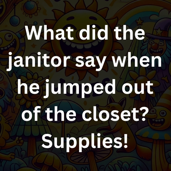 What did the janitor say when he jumped out of the closet_ Supplies!