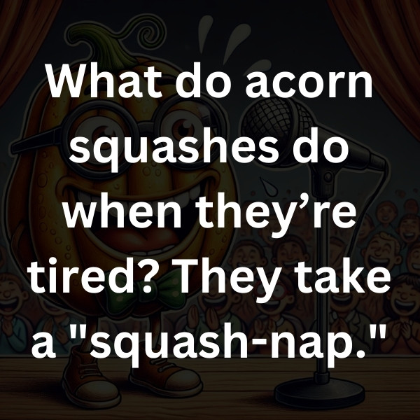 What do acorn squashes do when they’re tired_ They take a _squash-nap