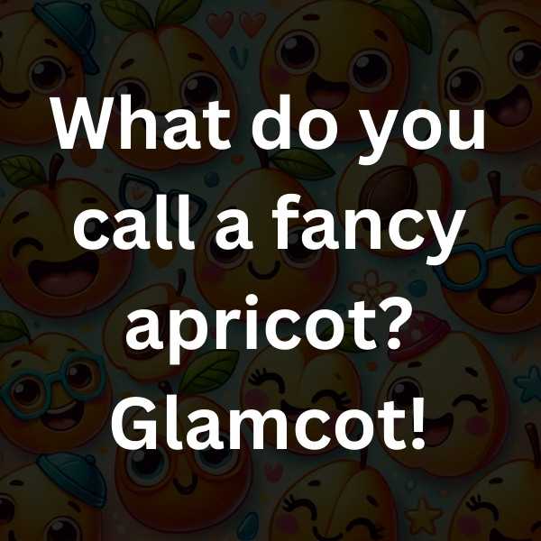 What do you call a fancy apricot_ Glamcot! (2)