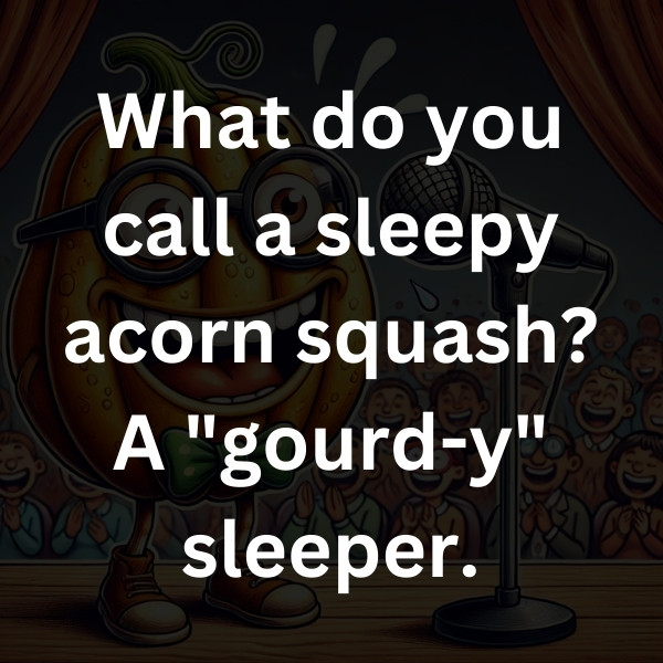 What do you call a sleepy acorn squash_ A _gourd-y_ sleeper