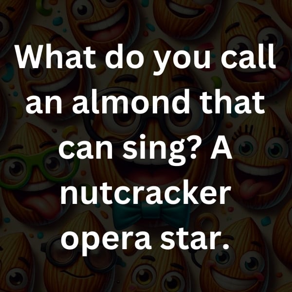 What do you call an almond that can sing_ A nutcracker opera star