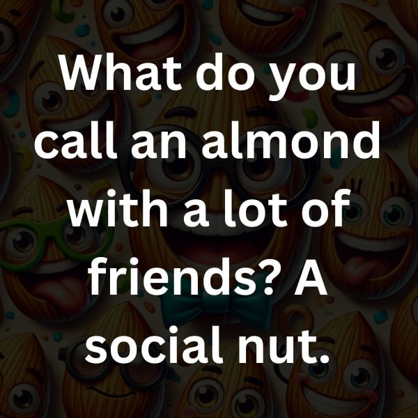 What do you call an almond with a lot of friends_ A social nut