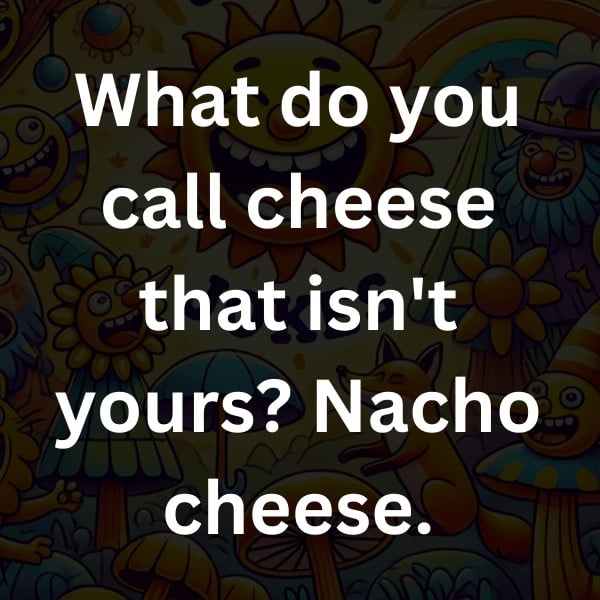 What do you call cheese that isn't yours_ Nacho cheese (2)