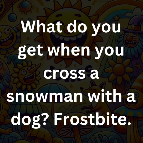 What do you get when you cross a snowman with a dog_ Frostbite (3)