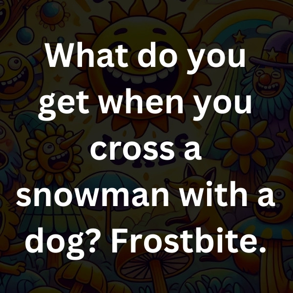 What do you get when you cross a snowman with a dog_ Frostbite