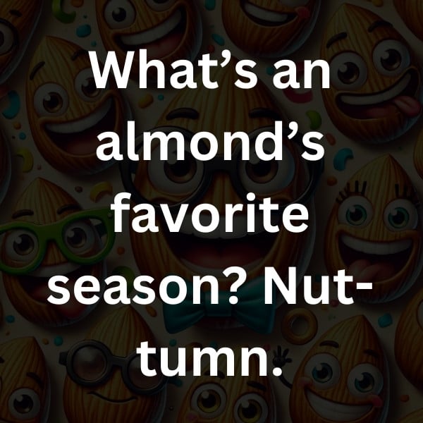 What’s an almond’s favorite season_ Nut-tumn