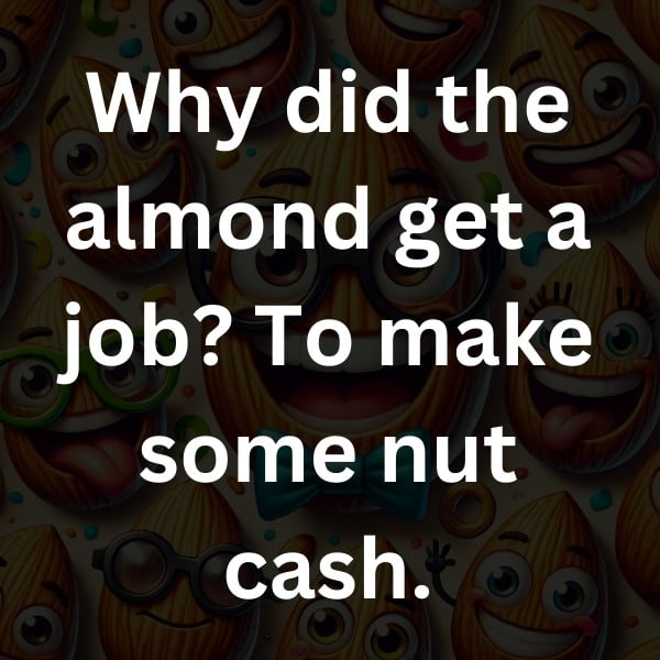 Why did the almond get a job_ To make some nut cash