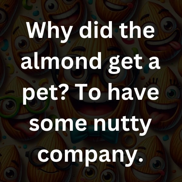 Why did the almond get a pet_ To have some nutty company