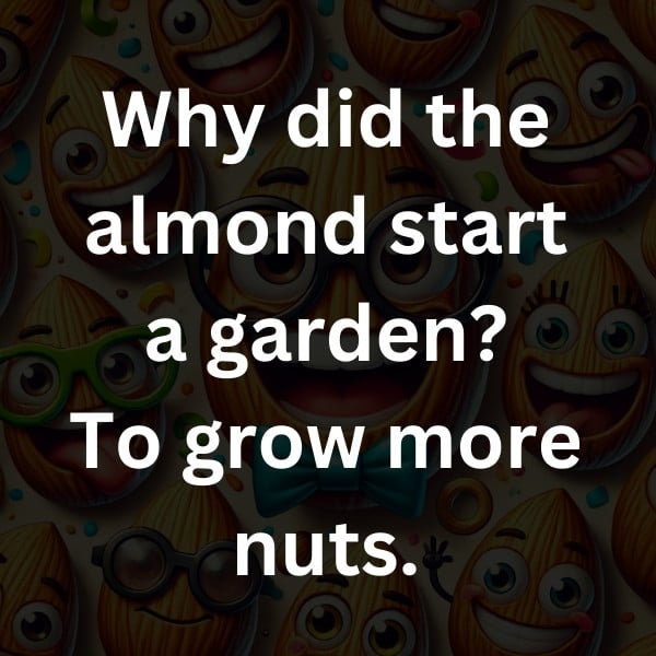 Why did the almond start a garden_ To grow more nuts