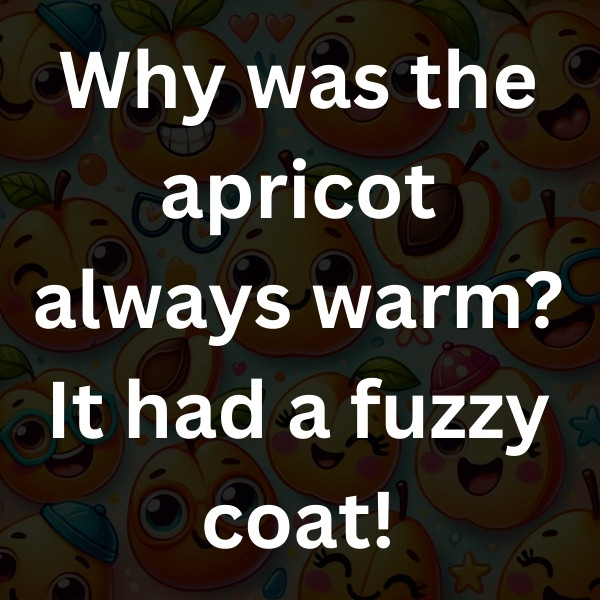 Why was the apricot always warm_ It had a fuzzy coat!