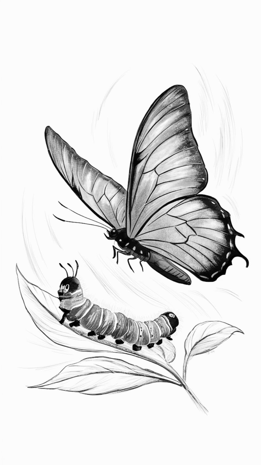 butterfly and caterpillar
