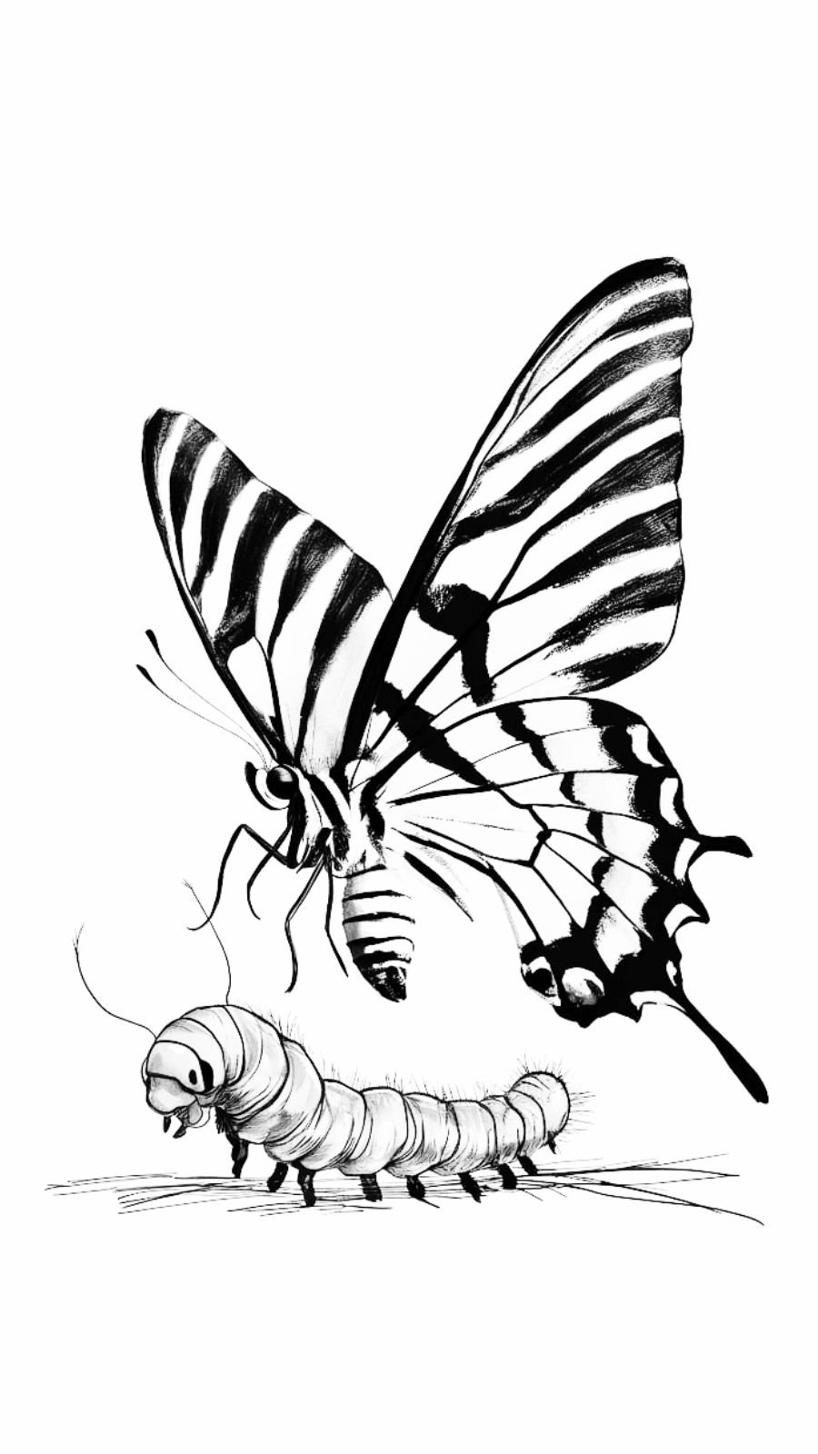 butterfly and caterpillar