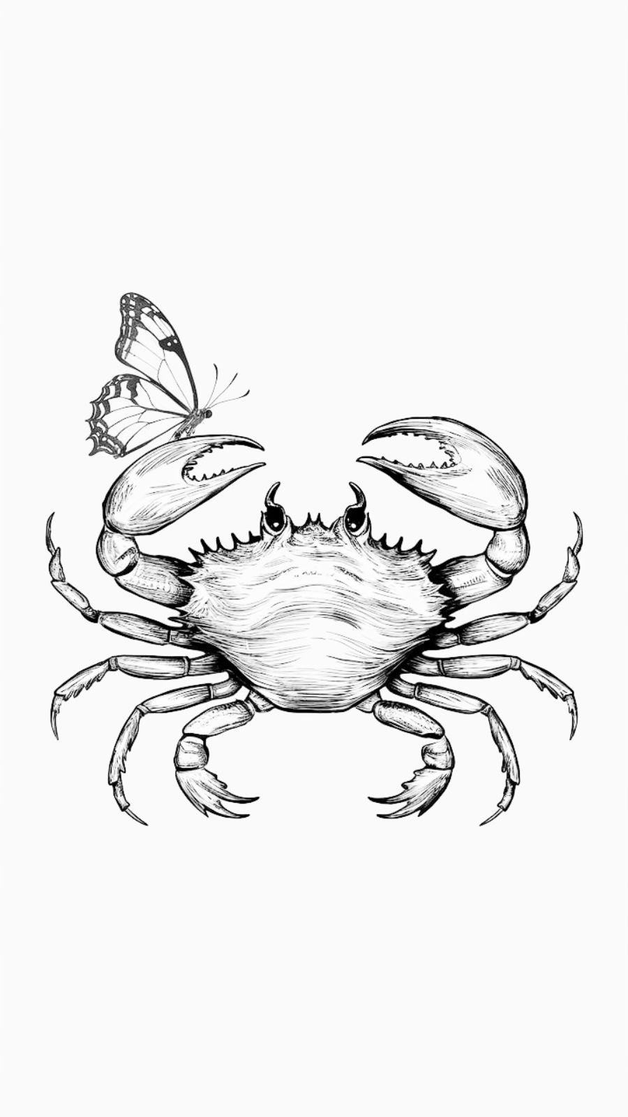 butterfly and crab