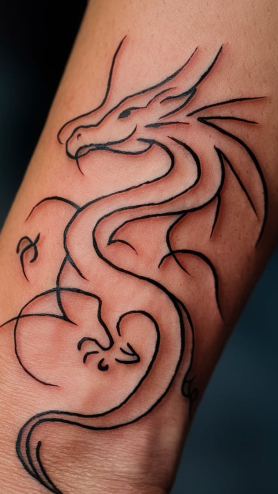 dragon