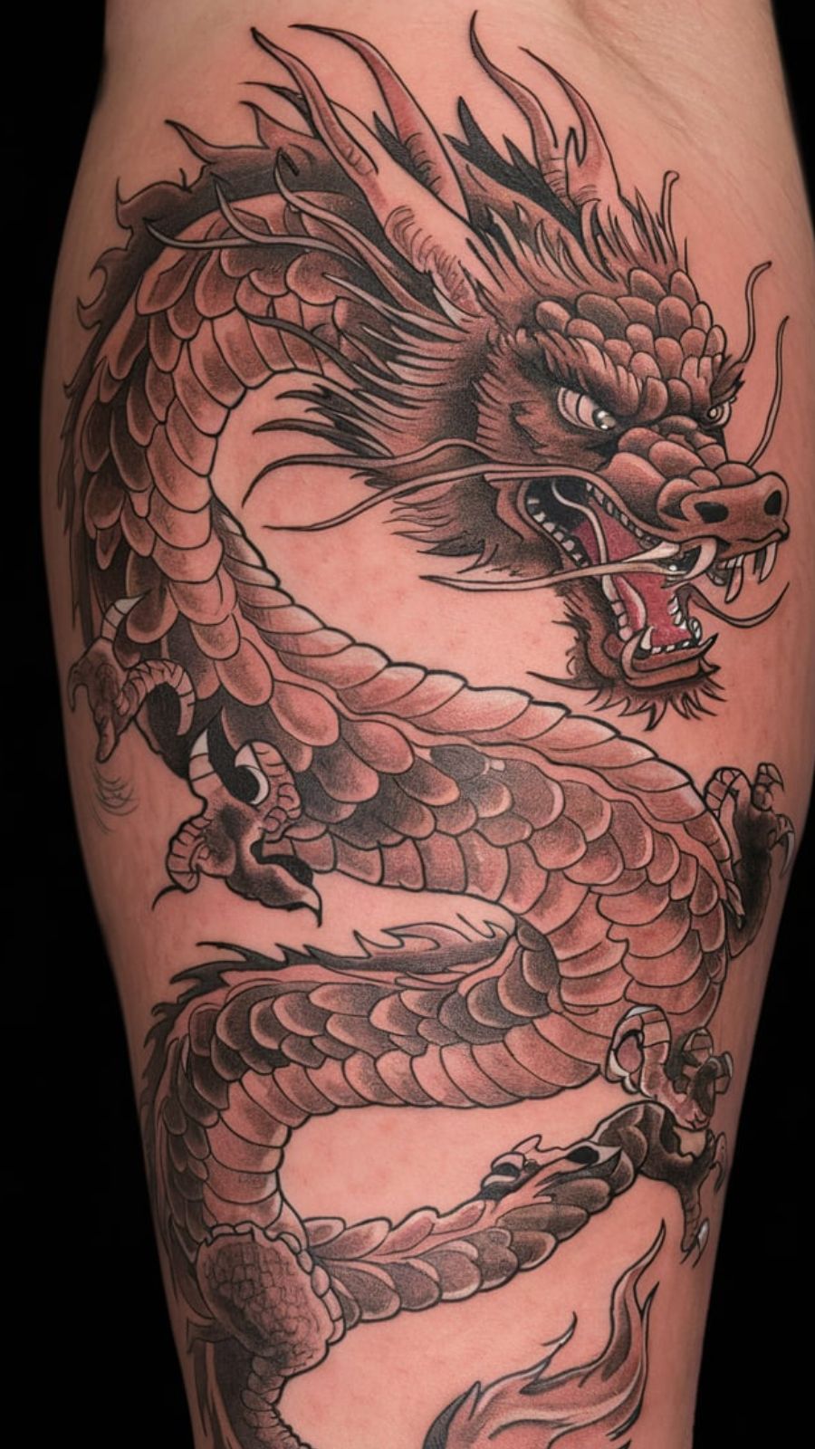 dragon