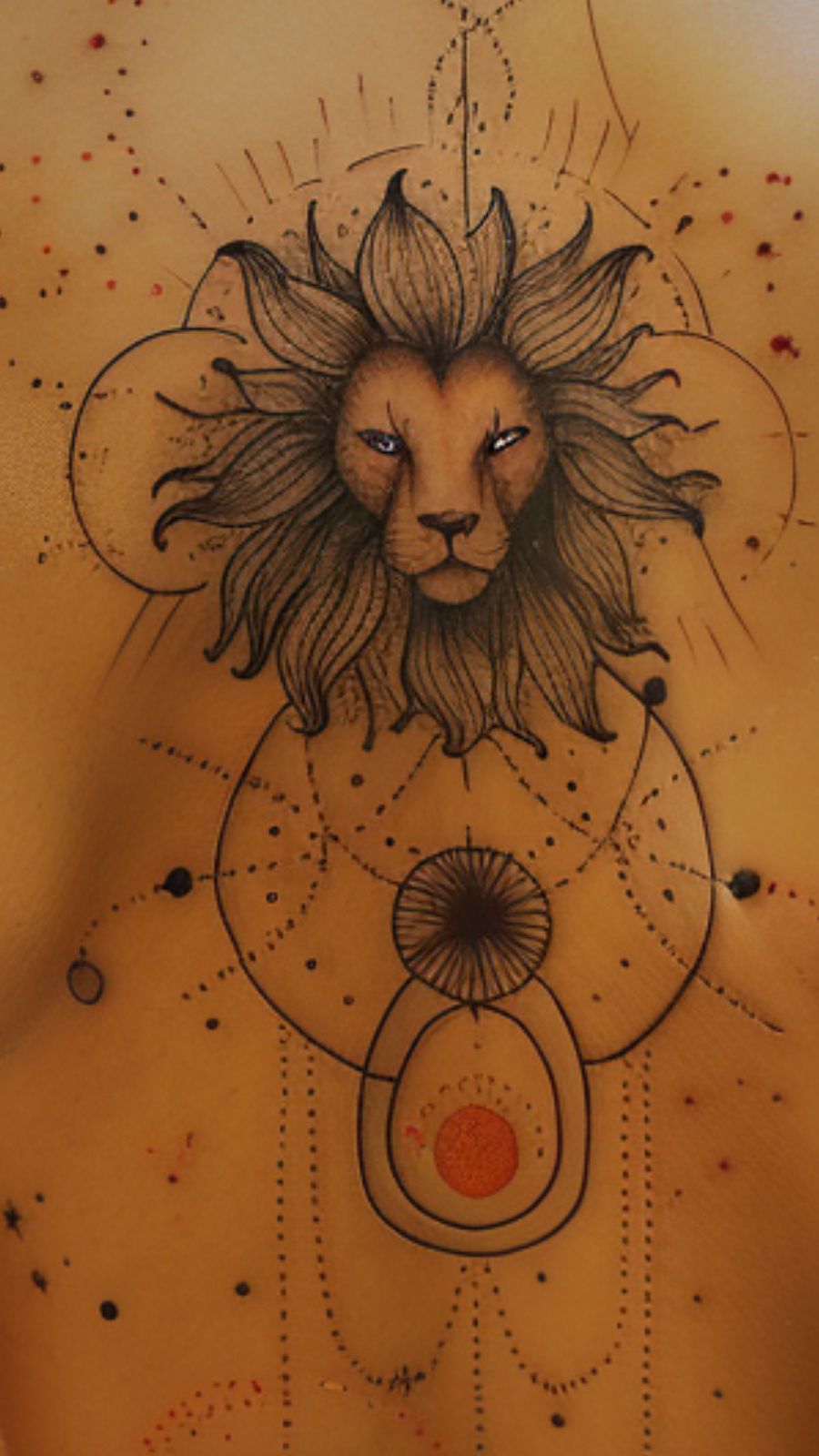 lion