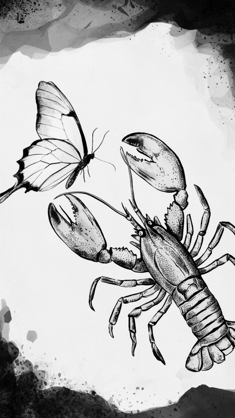 butterfly and lobster