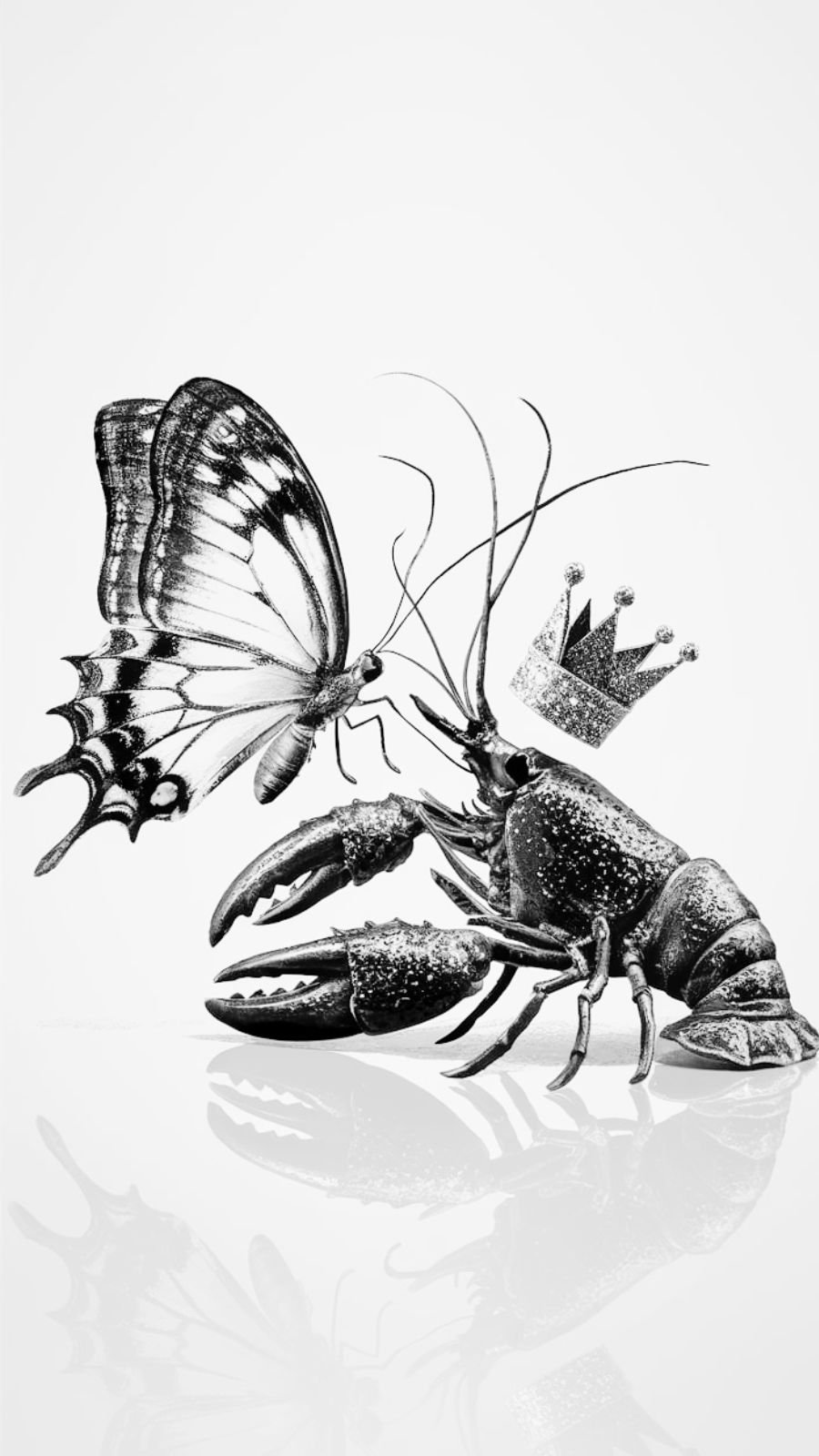 butterfly and lobster