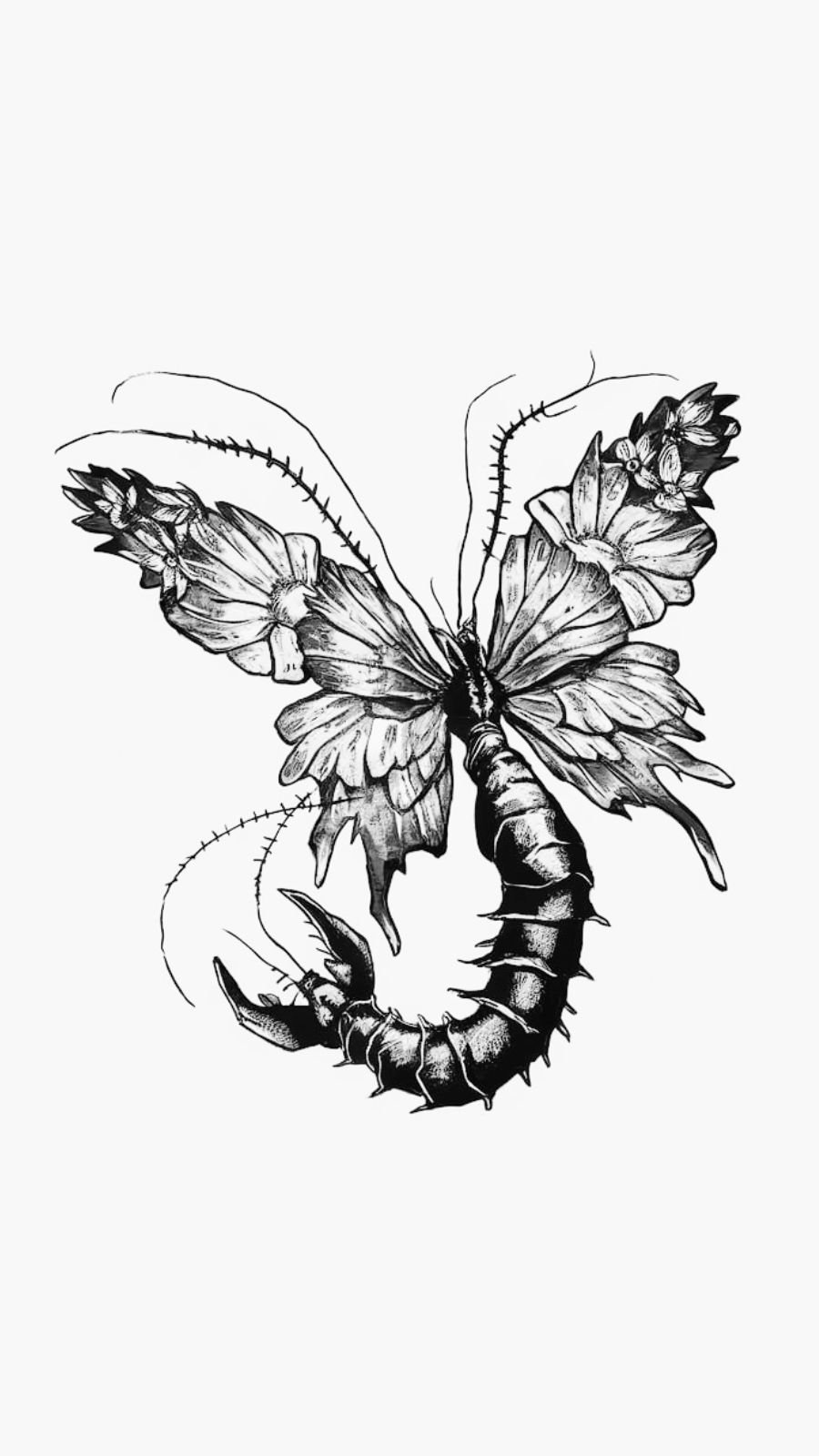 butterfly and lobster