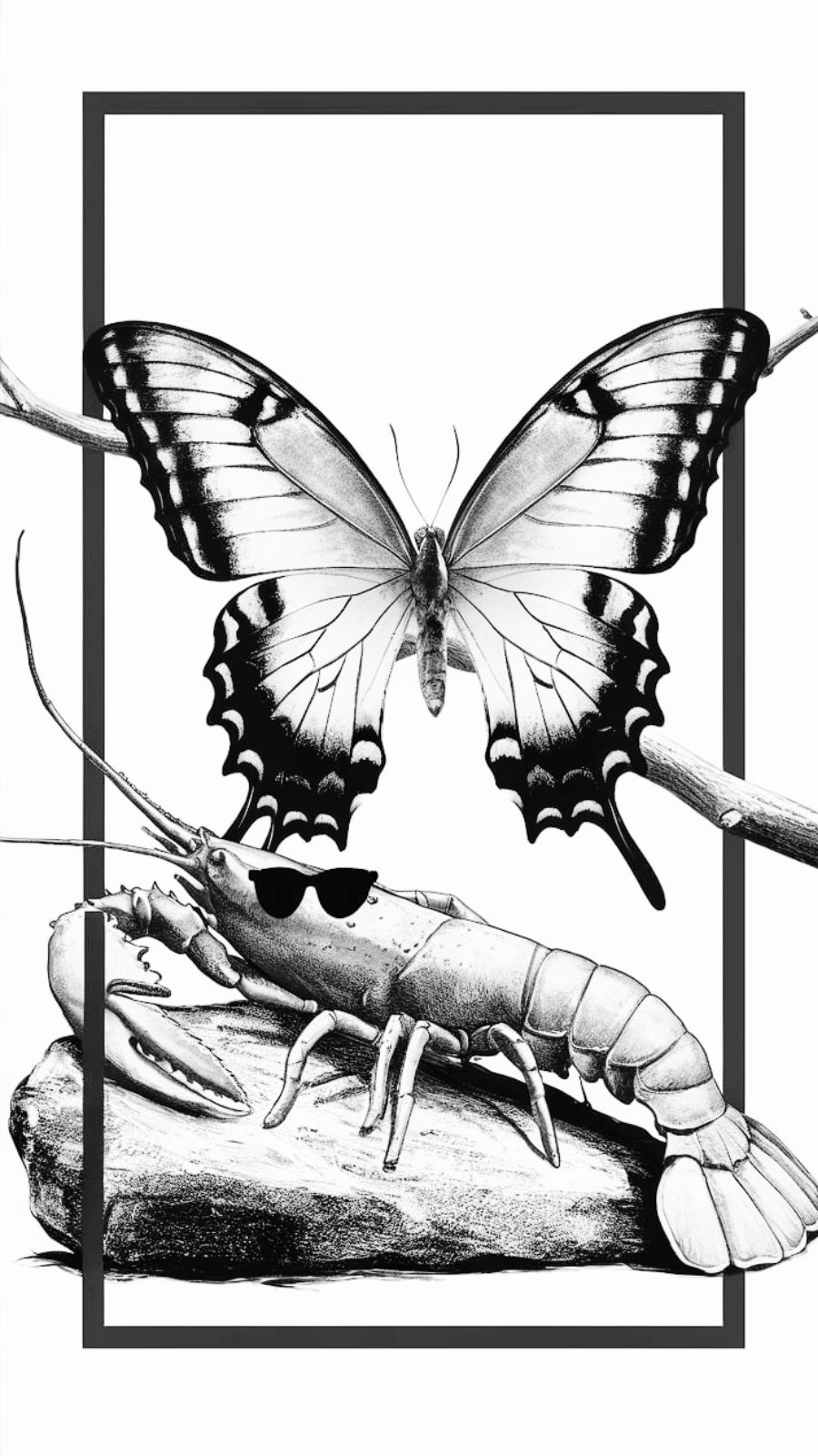 butterfly and lobster