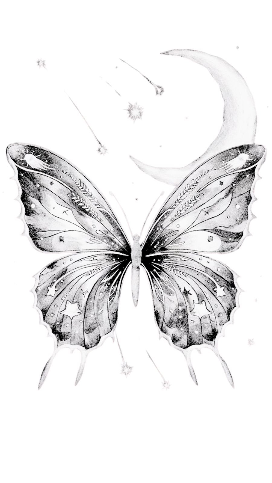 butterfly and meteor shower