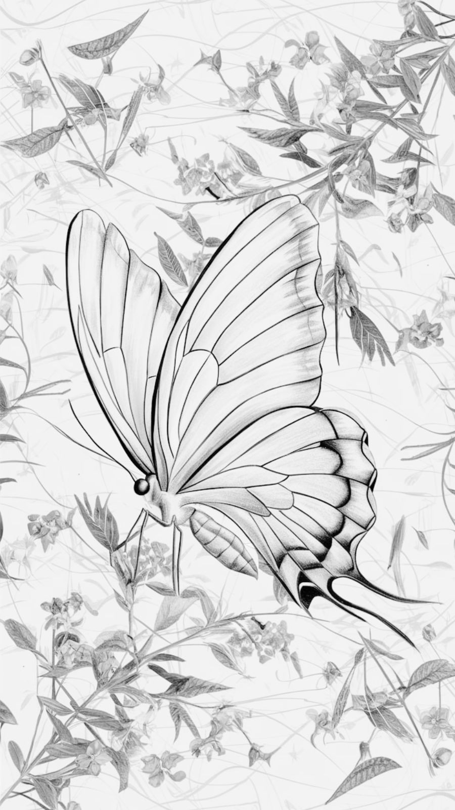 butterfly and shell