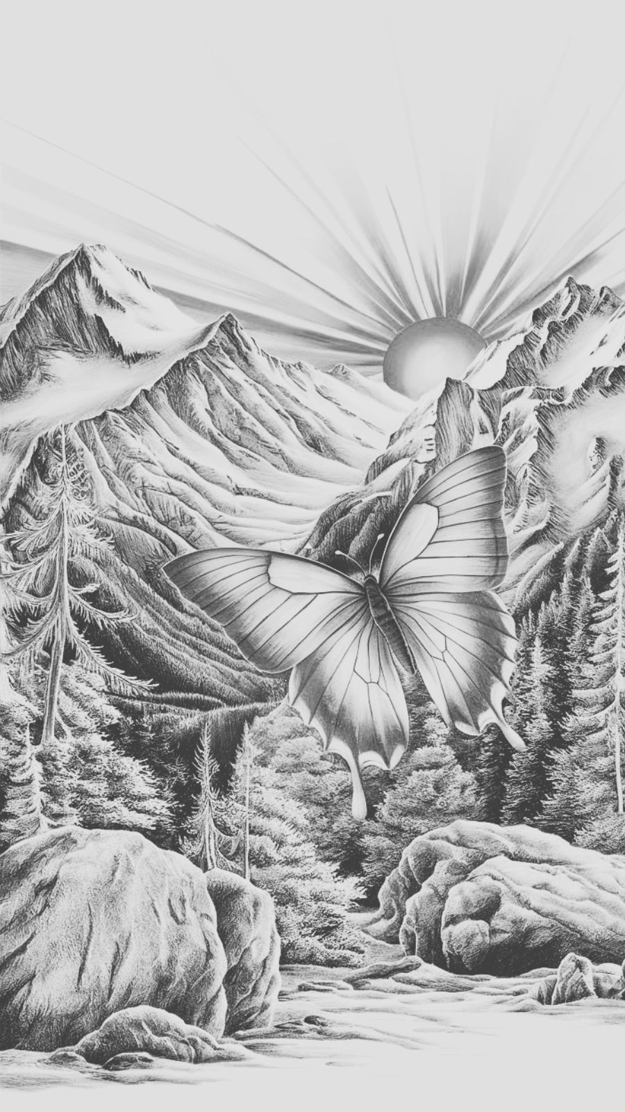 butterfly and sunrise