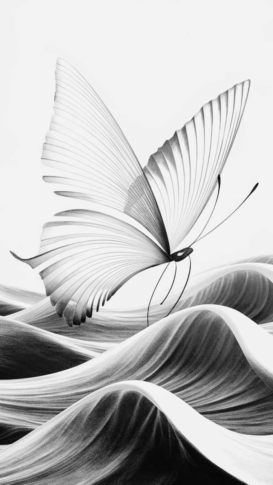 butterfly and wve