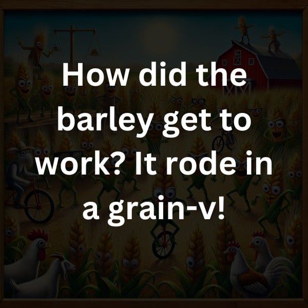 How did the barley get to work? It rode in a grain-v!