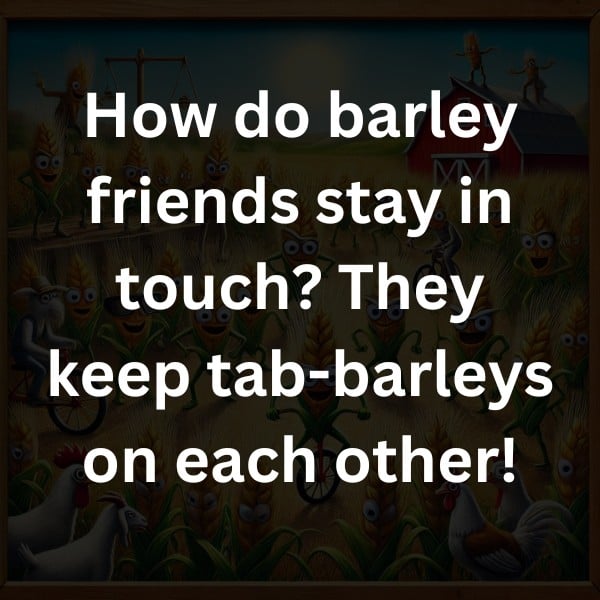 How do barley friends stay in touch? They keep tab-barleys on each other!