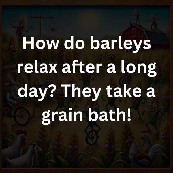 How do barleys relax after a long day? They take a grain bath!