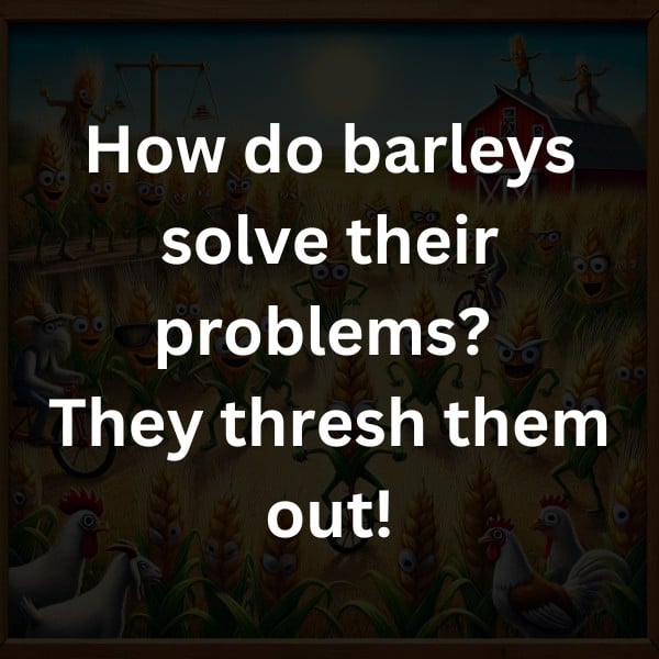 How do barleys solve their problems? They thresh them out!