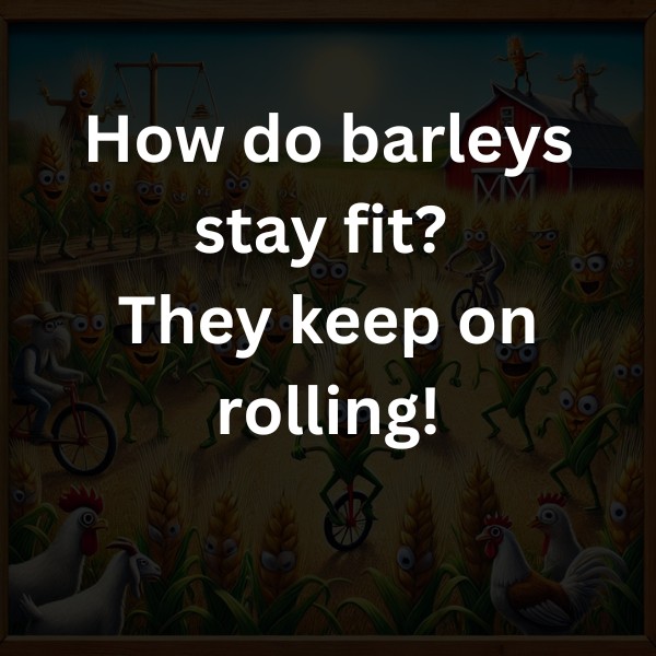 How do barleys stay fit? They keep on rolling!