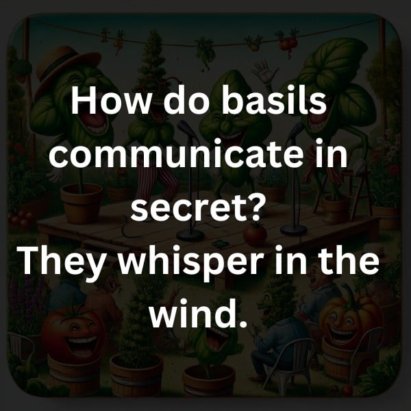 How do basils communicate in secret? They whisper in the wind.