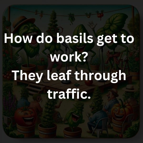 How do basils get to work? They leaf through traffic.