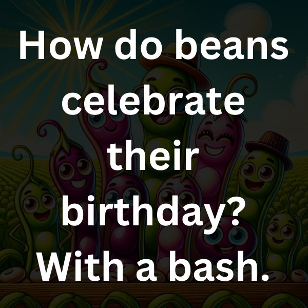 How do beans celebrate their birthday_ With a bash